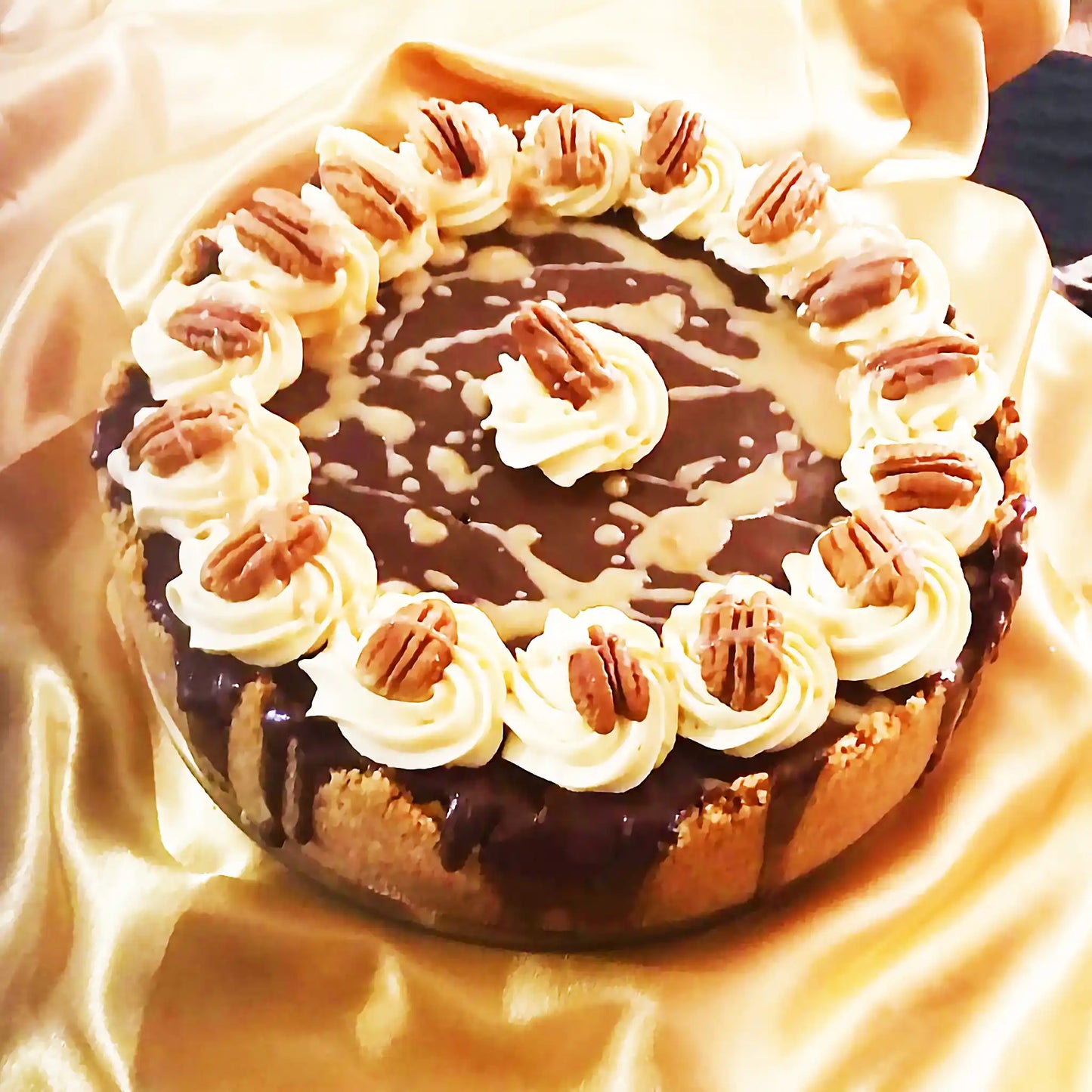 Mr. Cheesecake Turtle